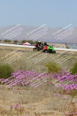 media/Feb-04-2023-SoCal Trackdays (Sat) [[8a776bf2c3]]/Turn 15 Inside Blooming (1050am)/